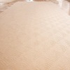 100% Wool Hand tufted Carpet corridor carpet