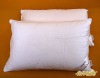 100% cotton cover 100% Silk pillow