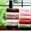 100% cotton embroidered bath Towel