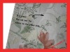 100% cotton embroidered voile fabric swiss voile