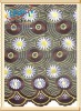 100% cotton lace fabric
