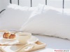 100% cotton pillow/hotel use/various styles.