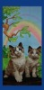 100%cotton reactive print lovely cat pattern beach towel