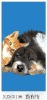 100%cotton velour reactive printed beach towel