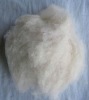 100% dehaired cashmere fiber