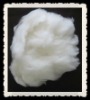 100% dehaired cashmere fiber