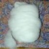 100% dehaired pure pashmina fibre