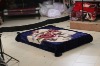 100% korean style 1 ply raschel polyester mink blanket