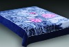 100% korean style raschel 1ply polyester mink blanket