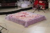 100% korean style raschel polyester mink blanket