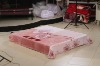 100% korean style raschel polyester mink blanket