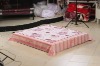 100% korean style raschel polyester mink blanket