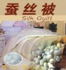 100% natural mulberry silk quilt