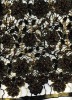 100% ployester fabric watersoluble embroidery for dress