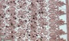100% plyester fabric with 3MM triangle sequin 1"flowers