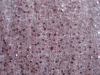 100% plyester fabric with 3MM triangle sequin 1"lowers