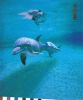 100%polyester Dolphin printed fleece fabric