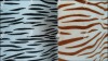 100% polyester Garments Fabric