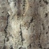 100% polyester Heavy plush fabric