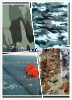 100%polyester Uniform Fabric