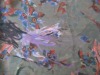 100% polyester chiffon printed fabric