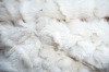 100%polyester knitting and brushed  tricot velboa fabric-toy