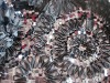 100% polyester mesh ribbon flower sequins embroidery fabric