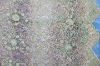 100% polyester new embroidery fabric design with spiral in shape