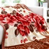 100% polyester plush throw blanket 200*240cm