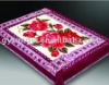 100% polyester printed double blanket 5.5kg