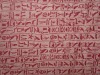 100% polyester printed micro velboa fabric for upholstery/home textile