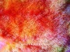 100%polyester printed peacock fabric