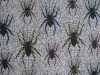 100%polyester printing fabric with spider design