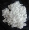 100% polyester staple fiber