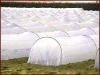 100% polypropylene non woven fabric