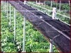 100% polypropylene spunbonded nonwoven fabric