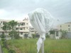 100% pp nonwoven fabric for tree cover