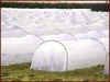 100% pp nonwoven spunbonded fabric for agriculture