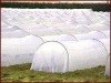100% pp spunbonded non woven fabric for agriculture
