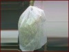 100% pp spunbonded non-woven fabric for horticulture
