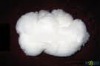 100% pure chinese white dehaired cashmere(pashmina) fiber