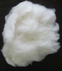 100% pure dehaired cashmere wool fiber