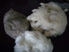 100% pure dehaired washed cashmere fiber