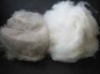 100% pure white brown grey cashmere fiber