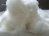 100% pure white dehaired cashmere fiber