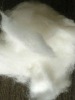 100% pure white fine cashmere fiber