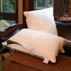 100% satin plain cotton pillow