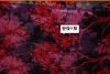 100% silk printing charmeuse fabric