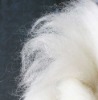 100% white dehaired pure cashmere fiber