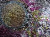 10DY11553 multi-colored sequin on knitting fabric
